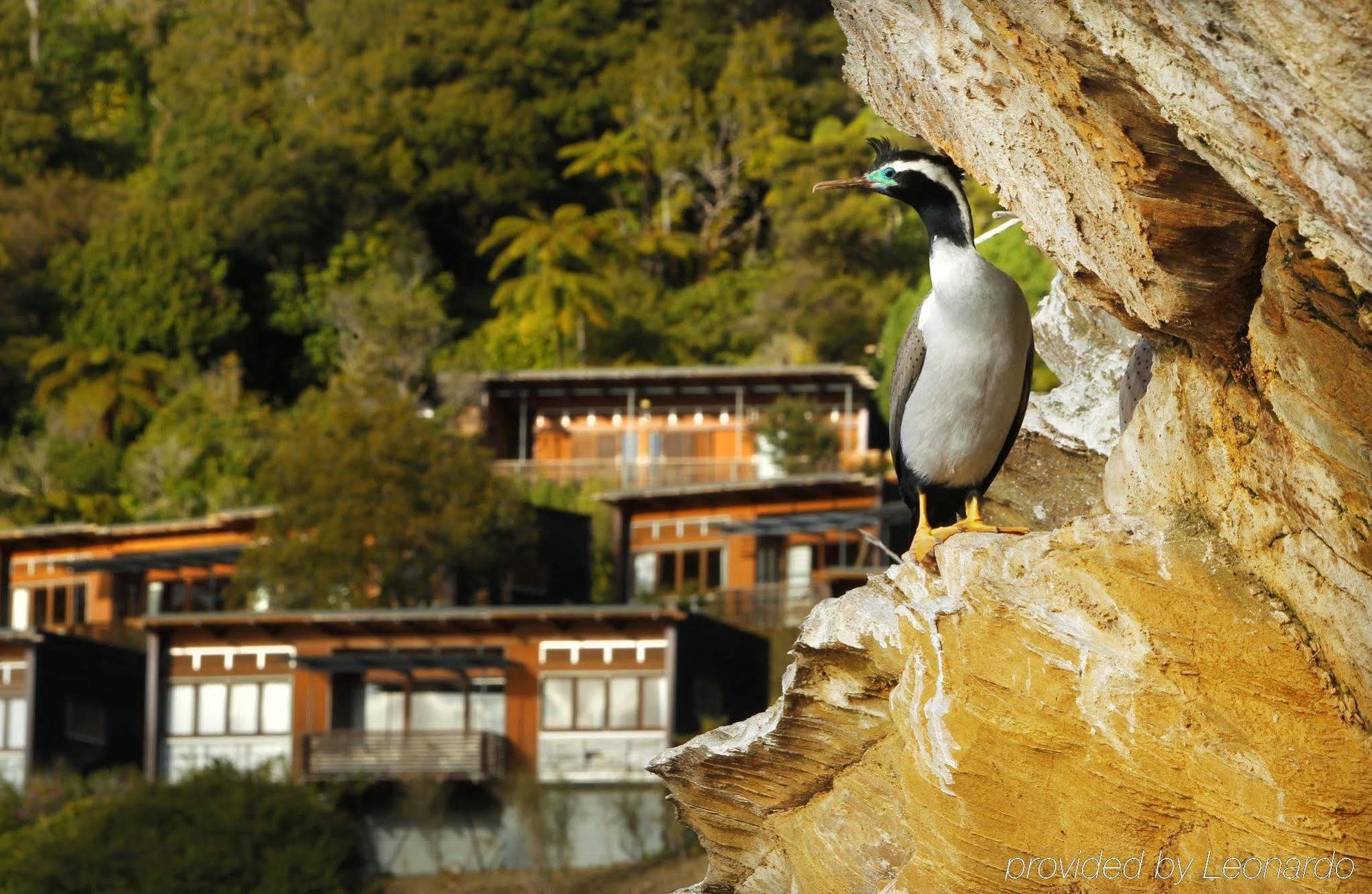 เบย์ออฟแมนนี่โคเวสรีสอร์ต Hotel Arthur's Bay ภายนอก รูปภาพ